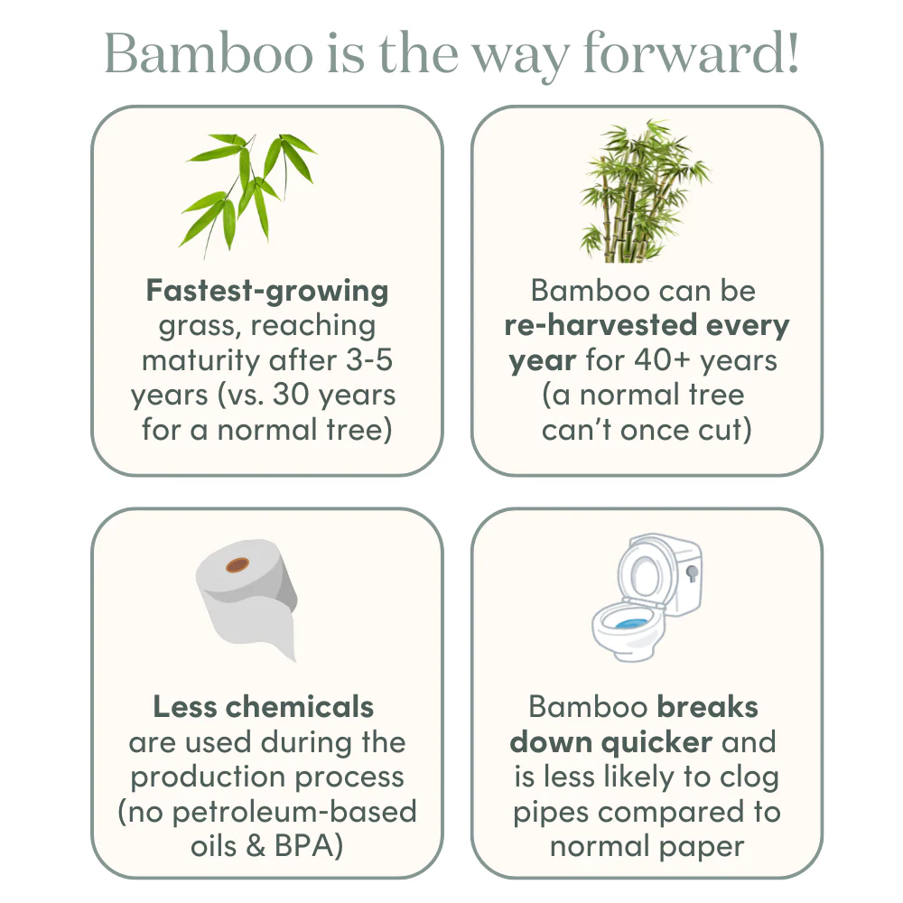 Bower Bamboo Toilet Tissue - 24 rolls - Image 6